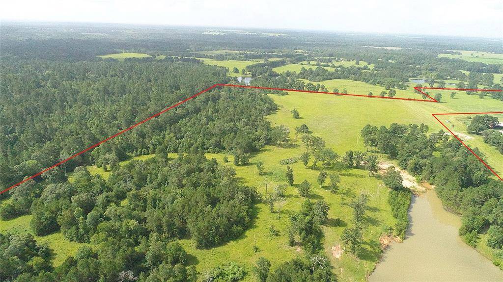 Leona, TX 75850,TBD Fm 1119