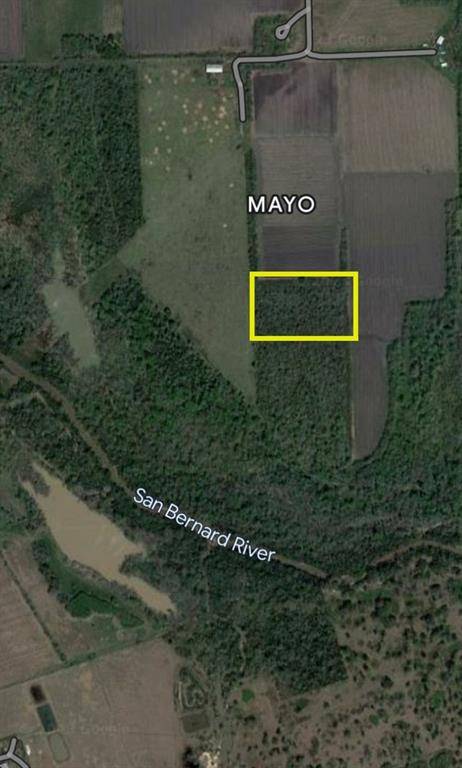 00 MayoLot2 RD, Wallis, TX 77485