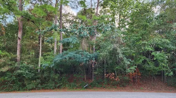 Conroe, TX 77316,Lot 21 Pearl River