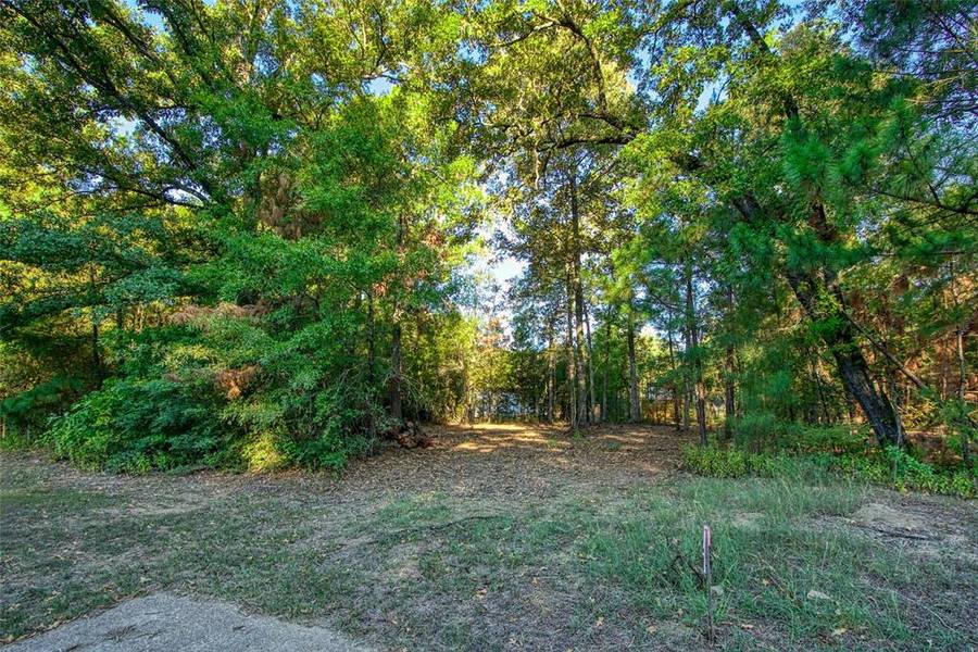 TBD Lot 104 Windwood DR, Livingston, TX 77351