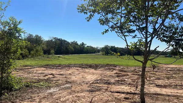 Navasota, TX 77868,Lot 2 CR 319