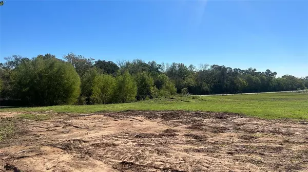 Navasota, TX 77868,Lot 2 CR 319