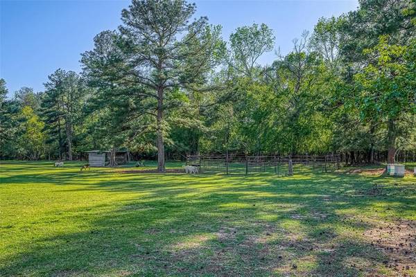 4800 Fm 3081 RD, Willis, TX 77378