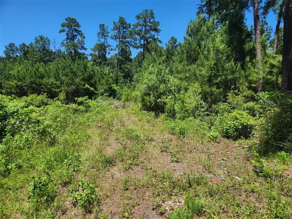 Plantersville, TX 77363,Lot 18 Mulberry DR