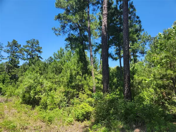 Plantersville, TX 77363,Lot 18 Mulberry DR