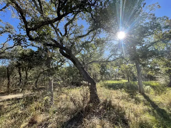 Hallettsville, TX 77964,Lot 4 County Road 14