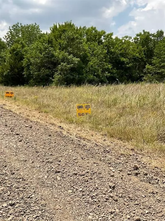 Navasota, TX 77868,0 Southern Hill Lot 30 DR