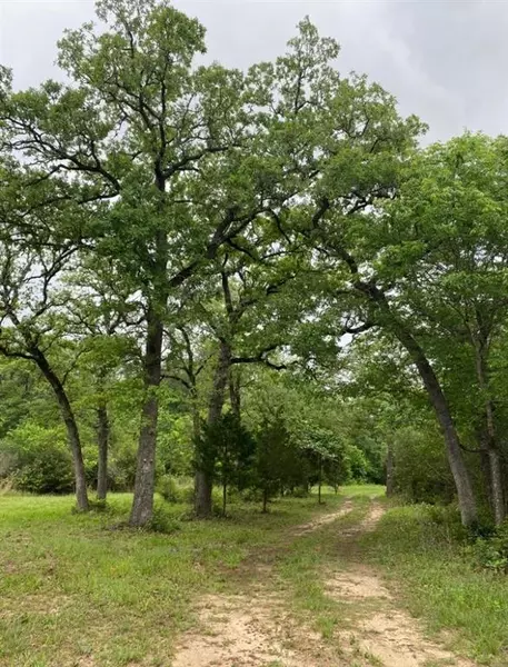 1803 Doe Run DR, Cistern, TX 78959