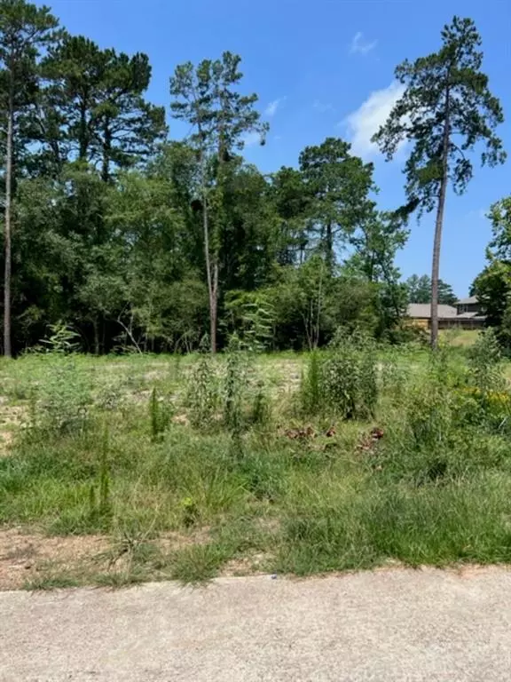 Conroe, TX 77304,Lot 35 La Salle Park