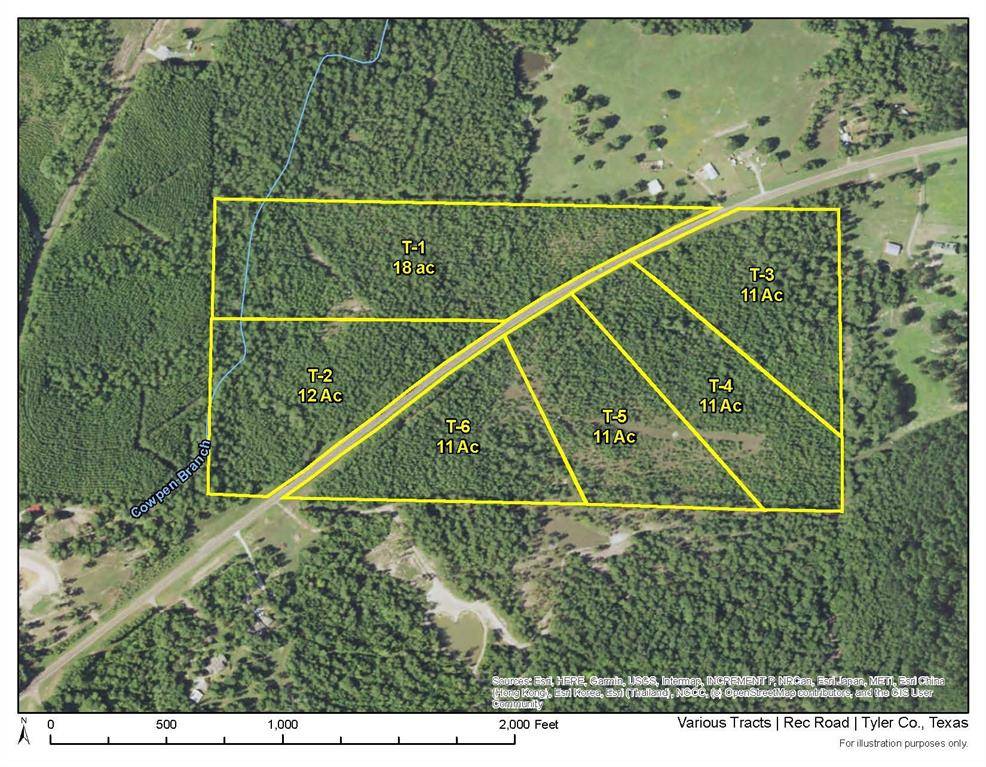 3 Rec Road 255, Colmesneil, TX 75938