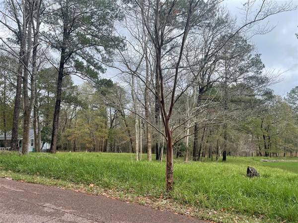 Coldspring, TX 77331,TBD S Royale Greens DR