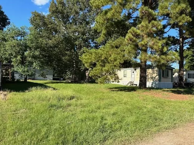 Trinity, TX 75862,193 Saturn DR