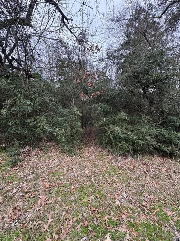 Onalaska, TX 77360,Lot 182 Sequoia LN