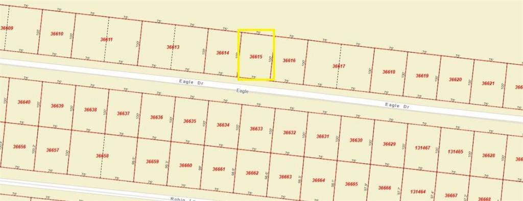 Bay City, TX 77414,TBD Eagle DR