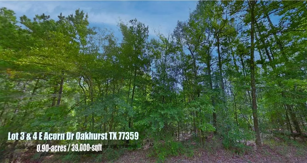 Oakhurst, TX 77359,Lot 3 & 4 E Acorn DR