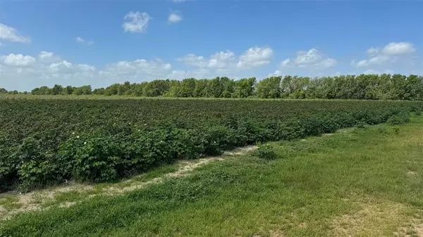 El Campo, TX 77437,TBD Lot 1 County Road 414