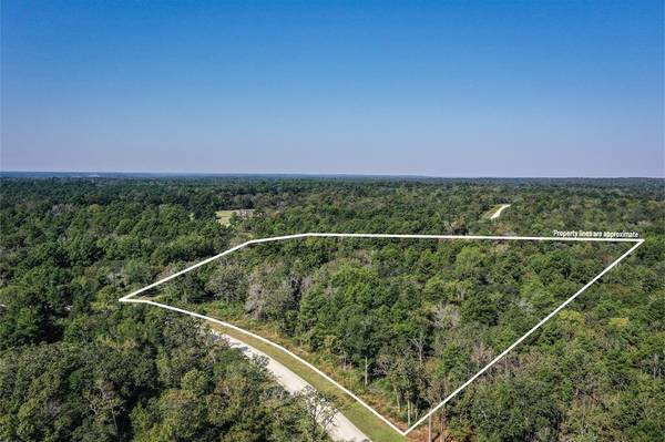 10 Acres Lot 81 Woodland Hills Ranch, Centerville, TX 75833