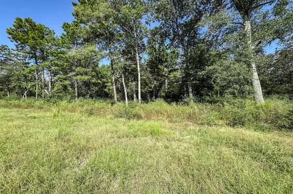 Centerville, TX 75833,10 Acres Lot 81 Woodland Hills Ranch