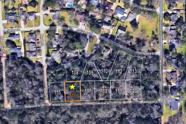 Conroe, TX 77302,TBD WILLOW DRIVE, LOT 116