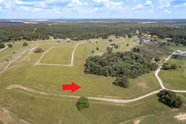 Lot 4 Hot Spring RD, Trinity, TX 75862