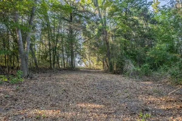 Round Top, TX 78954,TBD Wendy Lane-Lot 14