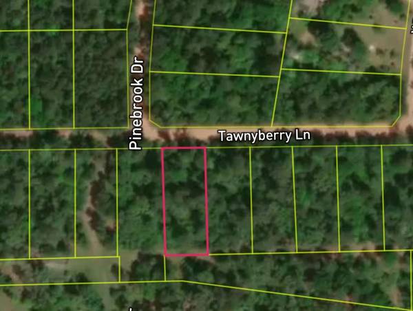 Lot 2 Tawnyberry LN, Plantersville, TX 77363