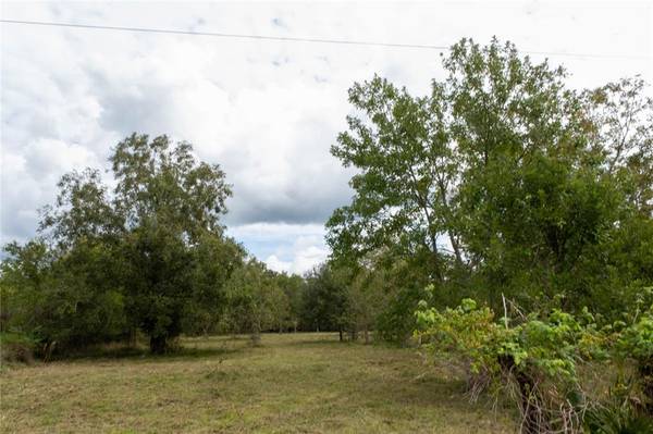 Sweeny, TX 77480,000 Wilson Road Off 743 RD