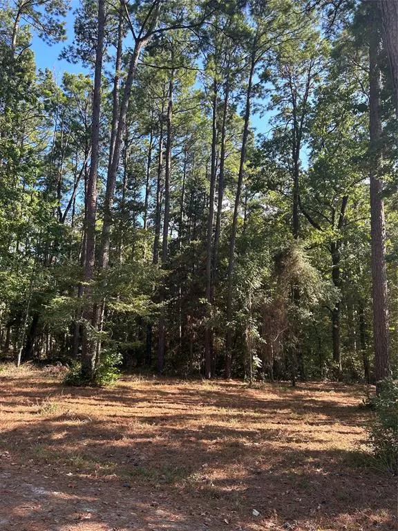 TR 12 Grand Pine Loop, Livingston, TX 77351