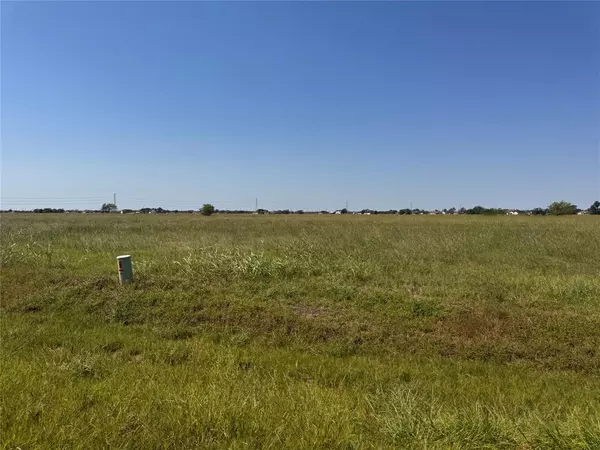 Angleton, TX 77515,208 Brahman TRL