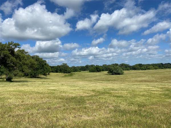 98.88 +/- Acres W Side of I-45, Centerville, TX 75833