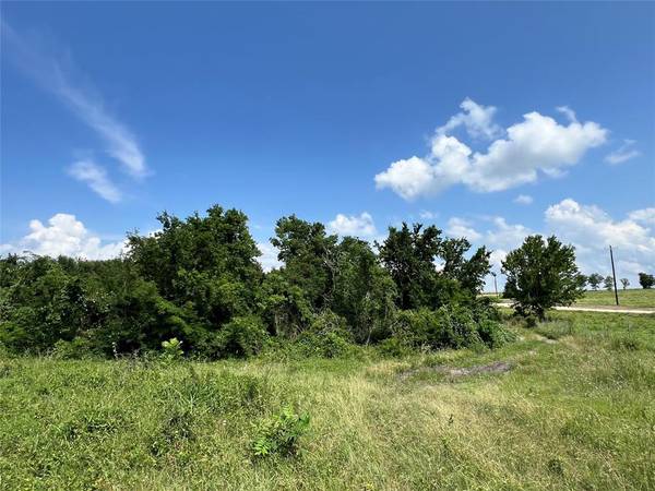 Burton, TX 77835,TBD HWY 290