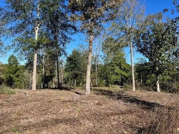 Livingston, TX 77351,TBD LOT 27 Addison Rd