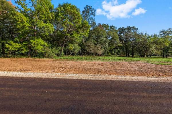 New Waverly, TX 77358,Lot 10 Alans Memorial Lane