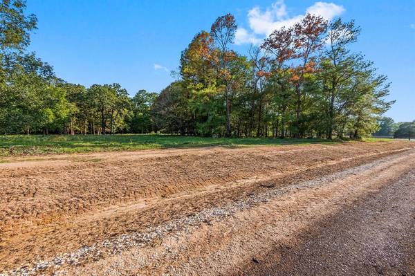 New Waverly, TX 77358,Lot 10 Alans Memorial Lane