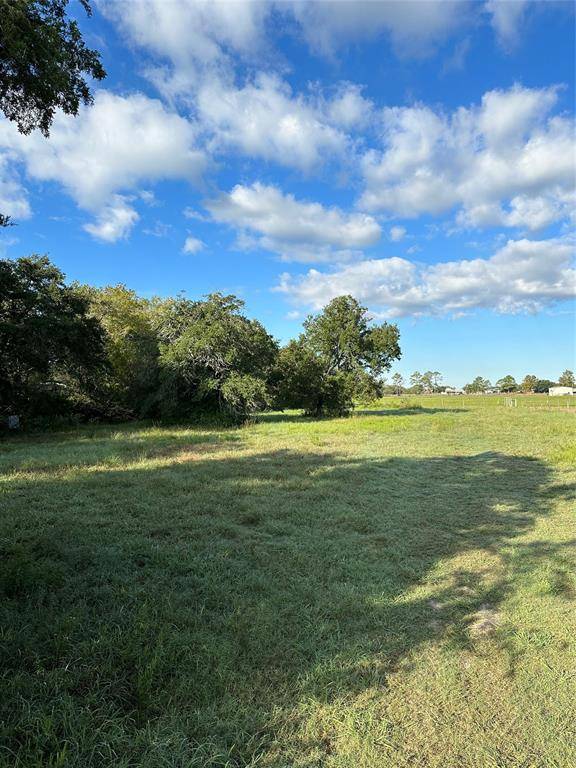 Santa Fe, TX 77510,Lot 13 Avenue E 1/2