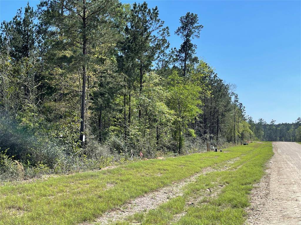 New Waverly, TX 77358,1-4-37 Exploration RD