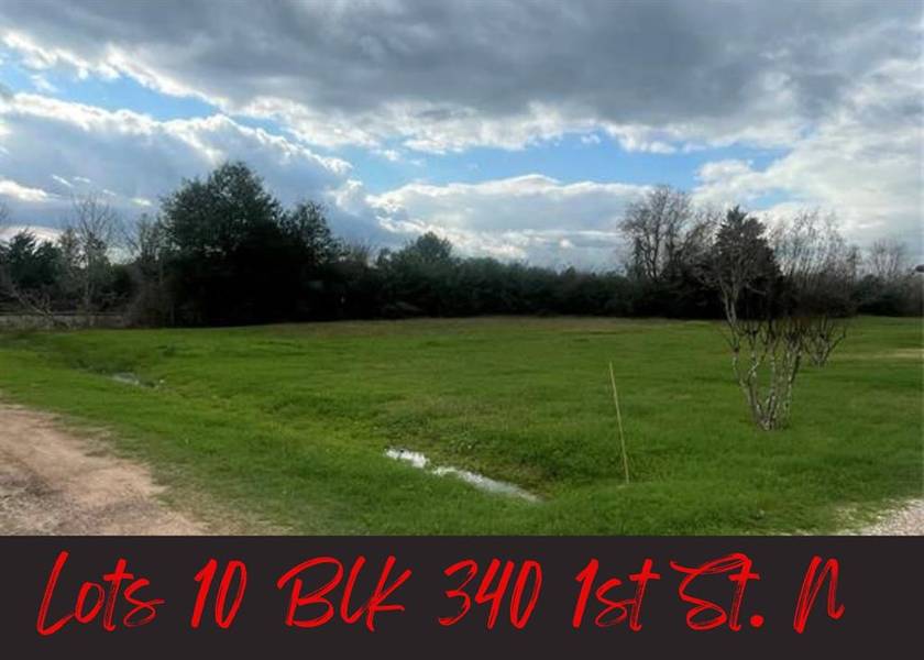 LOT 10 BLK 340 1st ST N, Hempstead, TX 77445