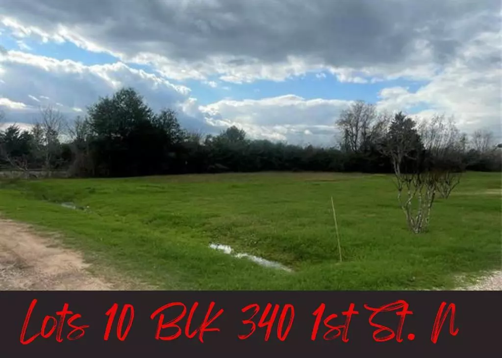 Hempstead, TX 77445,LOT 10 BLK 340 1st ST N