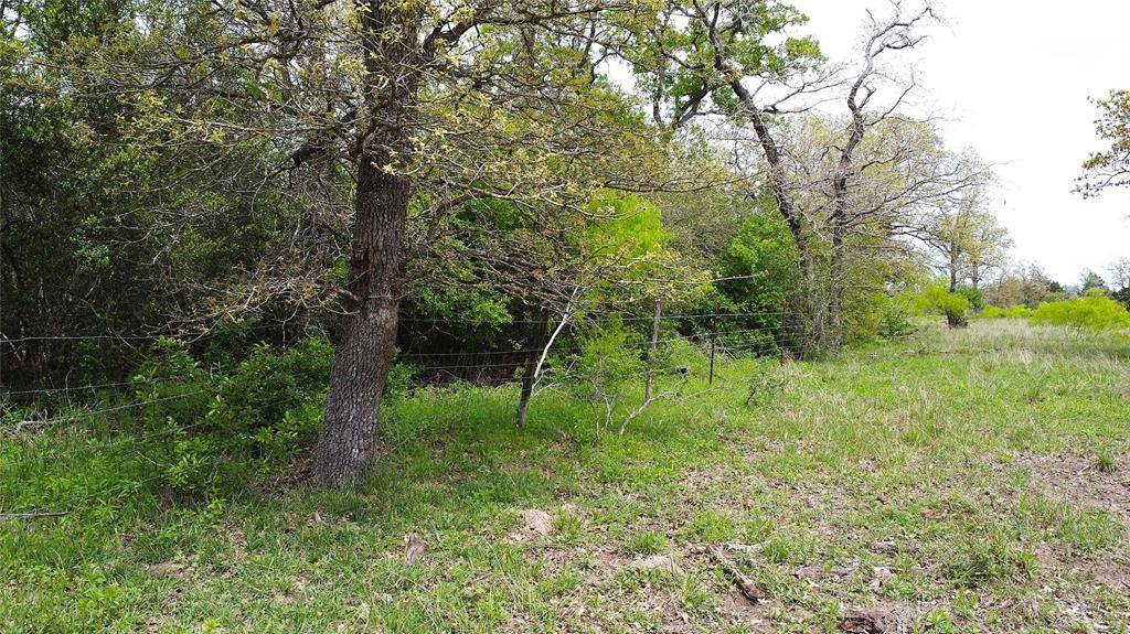 Waelder, TX 78959,1825 Armstrong-Derry RD