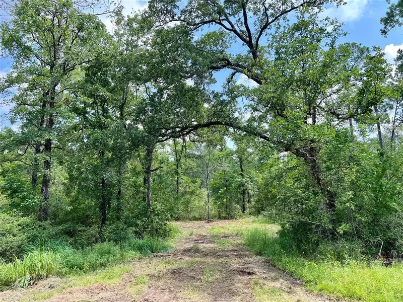 Tract 4 Round Prairie Rd, Huntsville, TX 77320