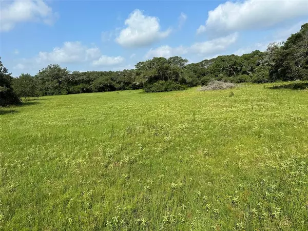 Columbus, TX 78934,TBD County Rd 160 Lot 129