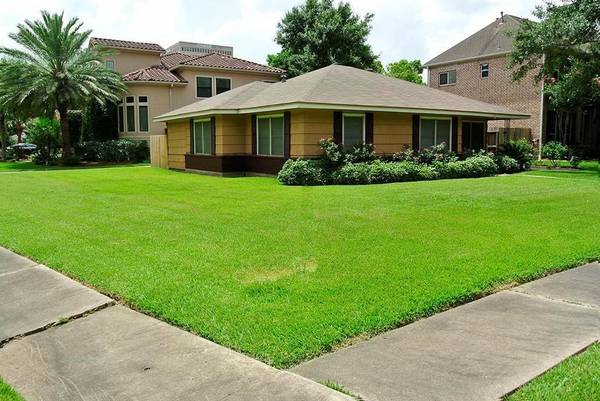 501 Wilmington DR, Bellaire, TX 77401