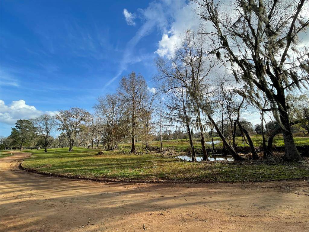000 Farmer DR, Shepherd, TX 77371