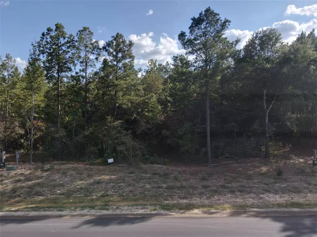 New Waverly, TX 77358,126 Exploration RD