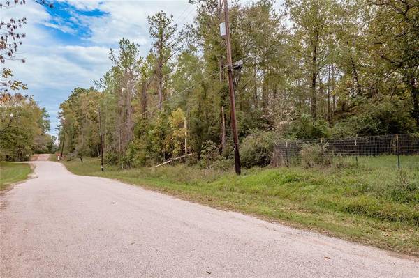 Trinity, TX 75862,Lot 2-3 Youpon Drive