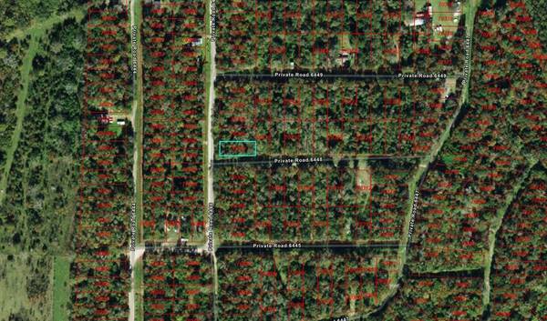 Dayton, TX 77535,001 Private Road 6446