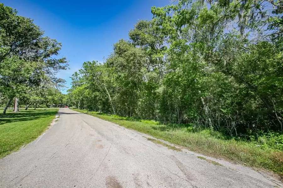 0 County Road 510 Z, Brazoria, TX 77486