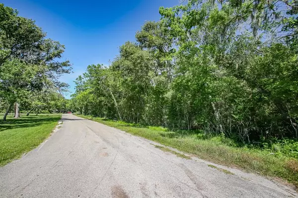 0 County Road 510 Z,  Brazoria,  TX 77486