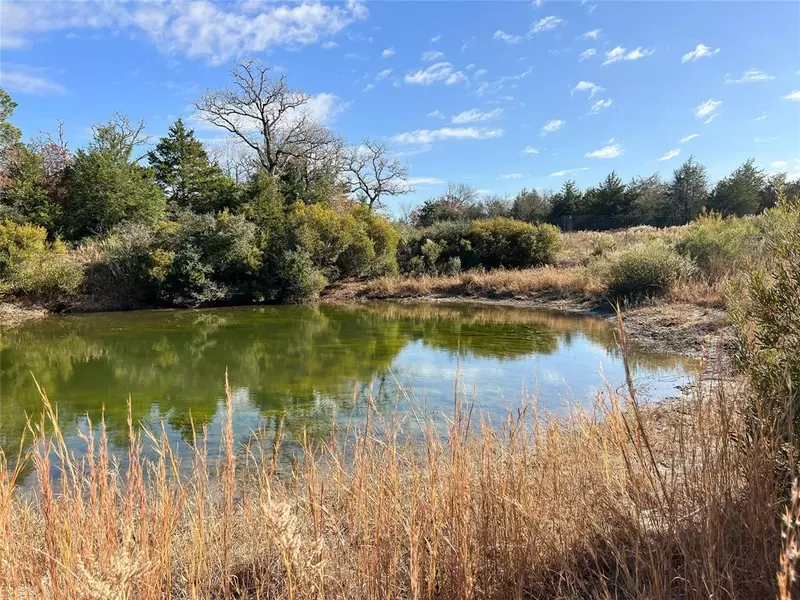 TBD County Road 491, Marquez, TX 77865