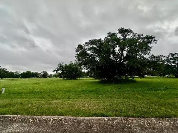 Angleton, TX 77515,1607 Old Henry CT